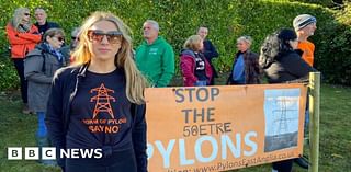 Essex pylon protesters say they have 'not had choice' over plans