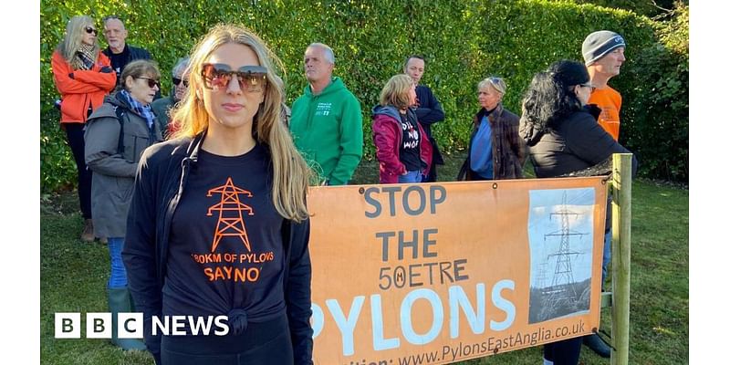 Essex pylon protesters say they have 'not had choice' over plans