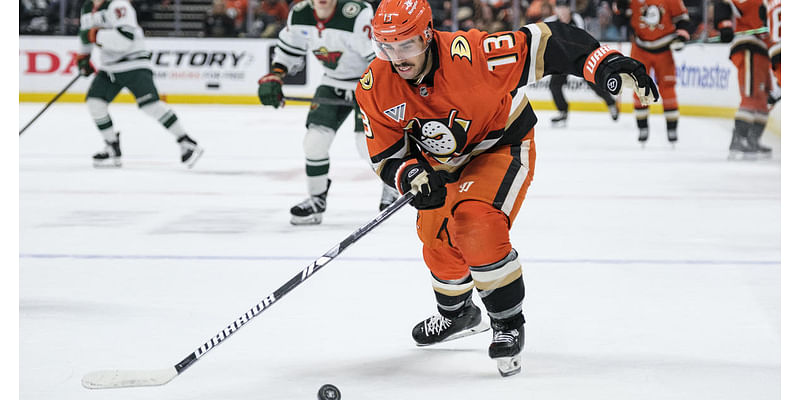 Anaheim Ducks place D Cam Fowler, F Robby Fabbri on injured reserve