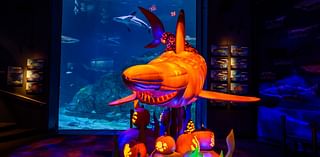 Adventure Aquarium hosting Fintastic Pumpkin Glow festival through Nov. 3