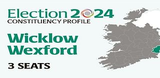 Wicklow-Wexford Election 2024: Who are the candidates and who could make gains? Everything you need to know before voting