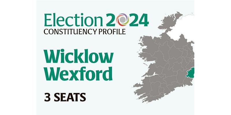 Wicklow-Wexford Election 2024: Who are the candidates and who could make gains? Everything you need to know before voting