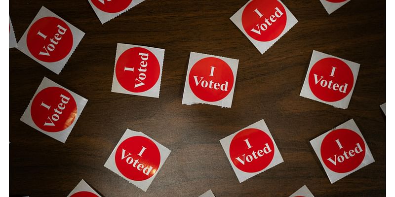 Faribault County officials taking steps to fix ballot misprint that switched parties of legislative candidates