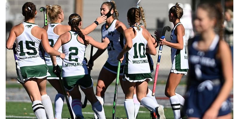 Notes, stats and more on Boiling Springs, Northern and West Perry's PIAA field hockey finals