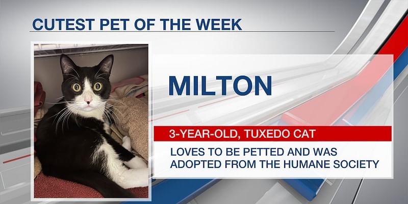 Cutest pet of the week: Milton