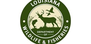 Arkansas man cited for hunting contest fraud in Morehouse Parish, LDWF says