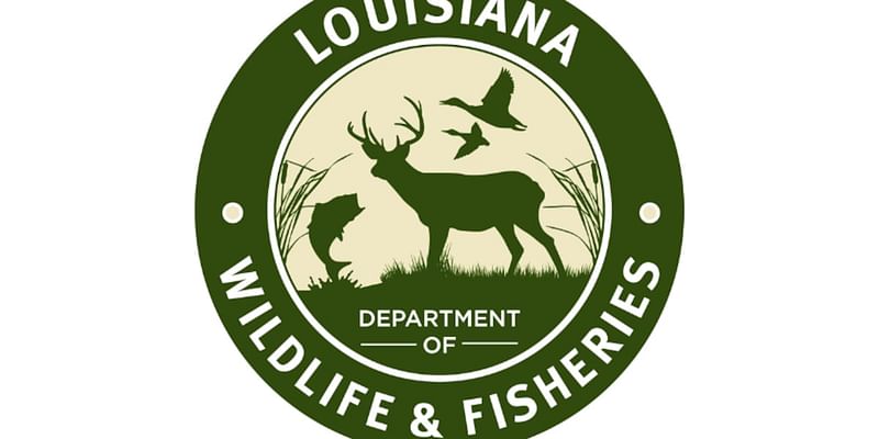 Arkansas man cited for hunting contest fraud in Morehouse Parish, LDWF says