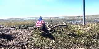 Tybee Island landmark returns