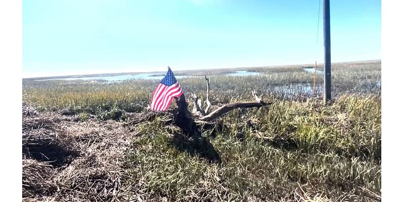 Tybee Island landmark returns