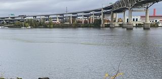 VIDEO: DEQ investigating green scum floating down Willamette on Election Day