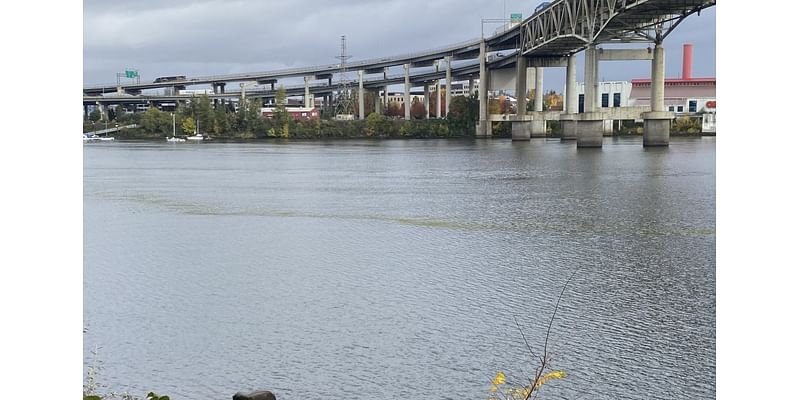 VIDEO: DEQ investigating green scum floating down Willamette on Election Day