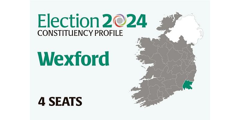 Wexford Election 2024: Who are the candidates and who could make gains? Everything you need to know before voting