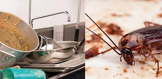 A live rodent and food fit for the trash. Worst inspections at Miami metro restaurants