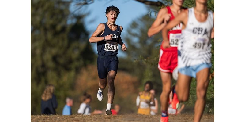 Boys & girls cross country honor roll, Nov 5: Who had a strong postseason debut?