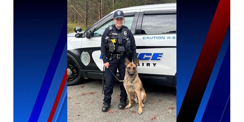 Double homicide suspect dead after chase, shooting with Surry County deputies; Mount Airy K-9 fatally wounded