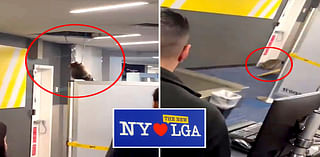 Rambunctious raccoon falls from LaGuardia ceiling, forcing Spirit Airlines staff, flyers to flee