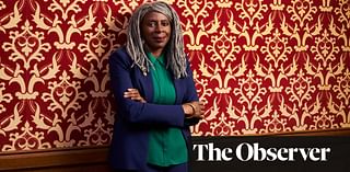 ‘I’m not saying I’m not scarred. But scars do fade’: Baroness Lola Young on her childhood in care