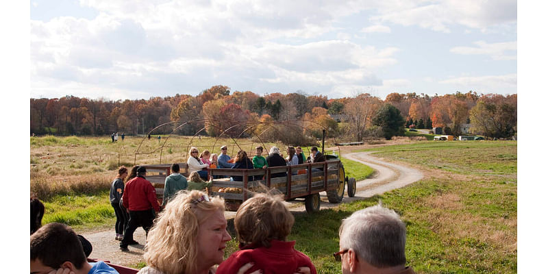 Over 2 Dozen Injured On School Field Trip When Wagon Flips At Apple Orchard