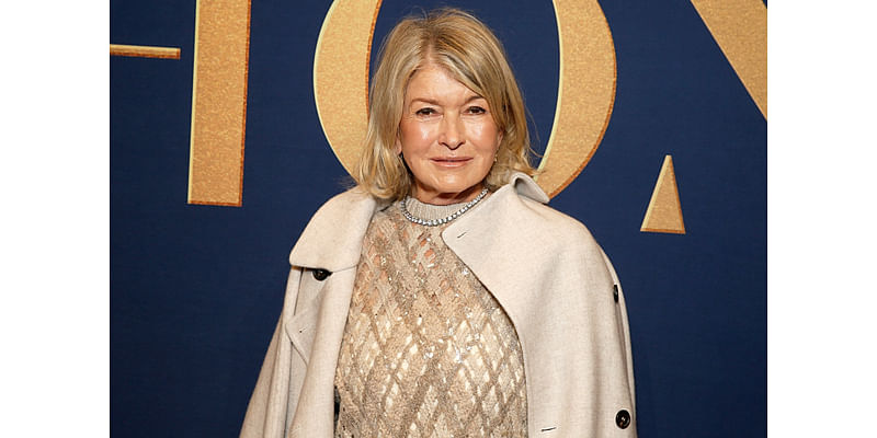 Inside Martha Stewart and Ex Andy Stewart's Rocky Marriage