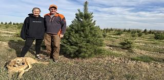 Juno's Tree Farm offers 'the whole experience' for Christmas tree seekers