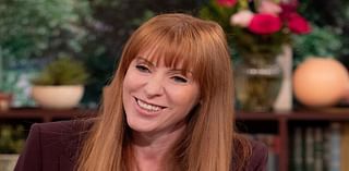 Angela Rayner faces investigation by sleaze watchdog over Lord Alli New York flat stay