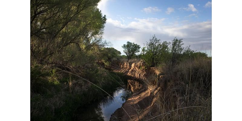 Conservation groups say Arizona is not protecting the San Pedro River, will sue again