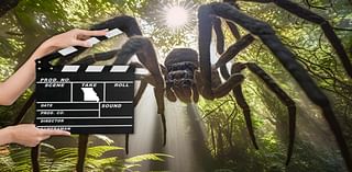 Star in a Movie About a Giant Spider Filming in Missouri Soon