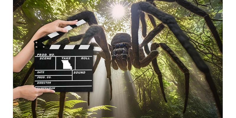 Star in a Movie About a Giant Spider Filming in Missouri Soon