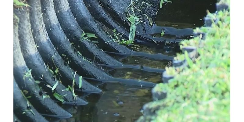 Some Edgewater residents take flood prevention into their own hands