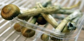 Psilocybin Might Be More Effective In Treating Depression Than Antidepressants: Study