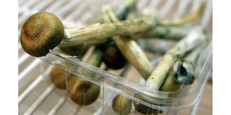 Psilocybin Might Be More Effective In Treating Depression Than Antidepressants: Study