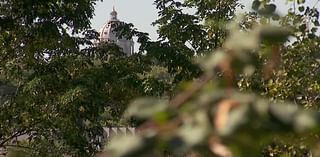 Volunteers join Urban Roots to plant trees in St. Paul