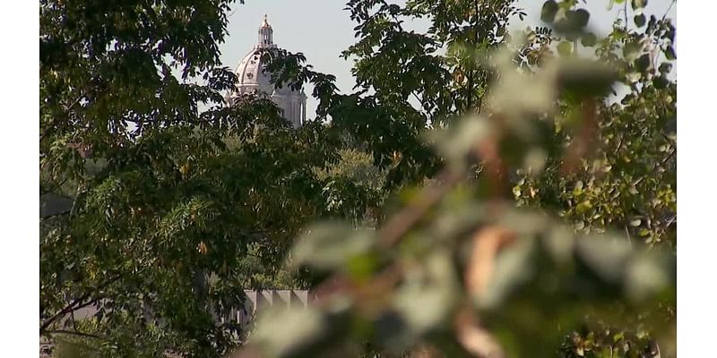 Volunteers join Urban Roots to plant trees in St. Paul