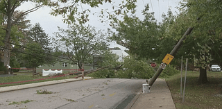 Cleanup underway after storms down trees, power lines in York County