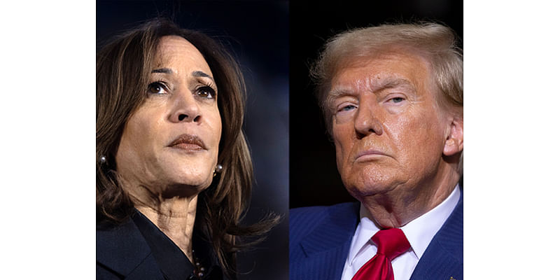 Here’s where Donald Trump and Kamala Harris are on election night