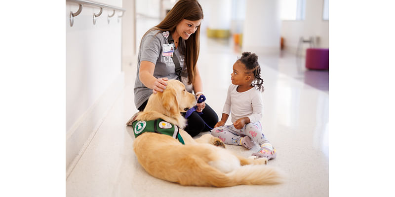 Golden retriever joins Children’s of Mississippi care team