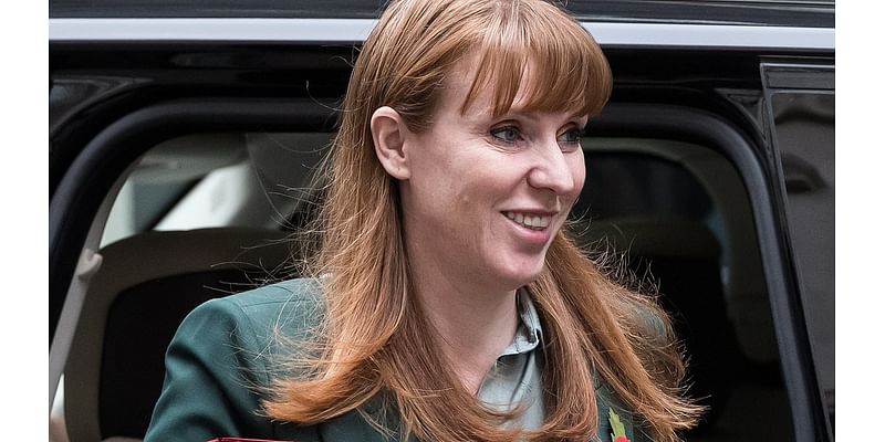 Angela Rayner continues Labour's love-bombing of Donald Trump (who she once called an 'absolute buffoon') as Deputy PM chats with incoming 'hillbilly' vice president JD Vance