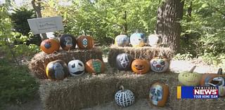 Anderson Gardens displays local students’ carved pumpkins