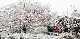 Wintry Scene On Aster Street In White Rock