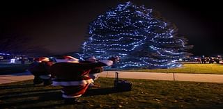 Santa, hot cocoa and more: Milwaukee area tree lighting events to start the holiday season