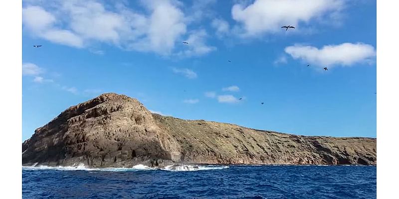 Uproar over Navy's plan for bombing drills on Hawaii island sanctuary filled with rare wildlife