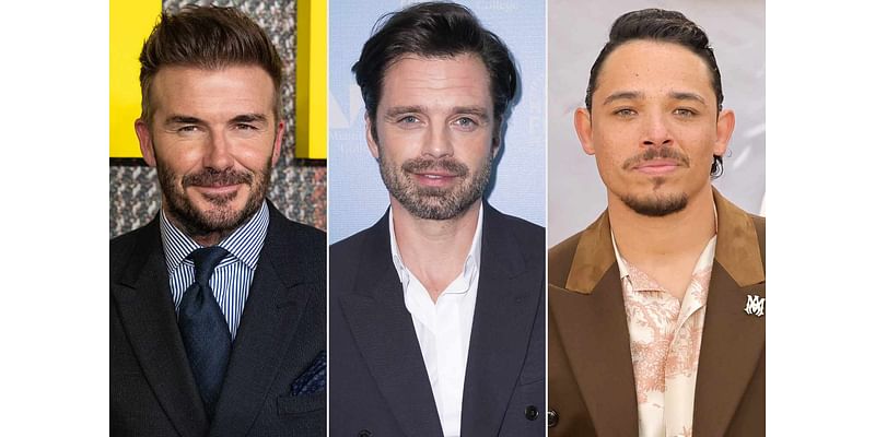 Your Favorite Celebrities — Including David Beckham and Sebastian Stan — Weigh In on What Makes Someone Sexy