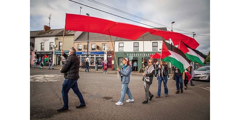 Ireland Palestine Solidarity Campaign hold silent demonstration in Wexford