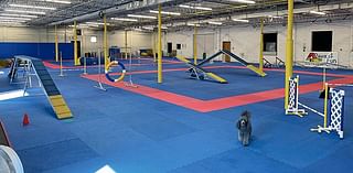 Expanded dog agility studio opens in Owatonna - Austin Daily Herald