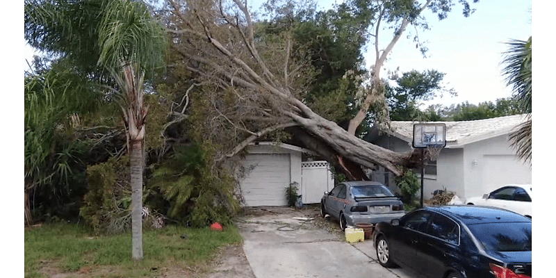 Post-storm fraud: Who can you trust?