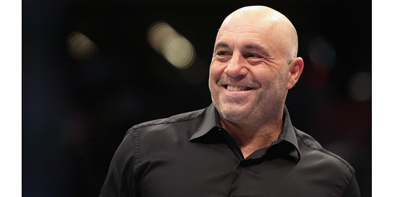 Harris And Trump’s Biggest Celebrity Endorsements: Joe Rogan Endorses Trump—Citing Elon Musk