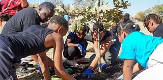 'Trees for Tomorrow' will focus on rebuilding Omaha's canopy