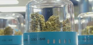 Capitol Wellness Solutions opens new medical marijuana dispensary in Baton Rouge