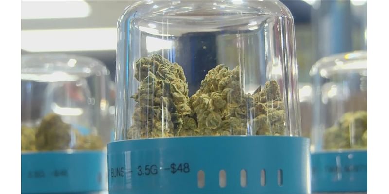 Capitol Wellness Solutions opens new medical marijuana dispensary in Baton Rouge