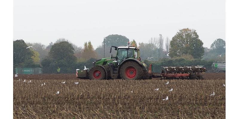 Labour's controversial changes to inheritance tax could impact more than 100,000 farms, Tories say